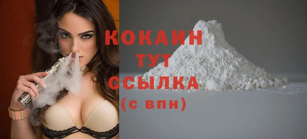 шишки Беломорск