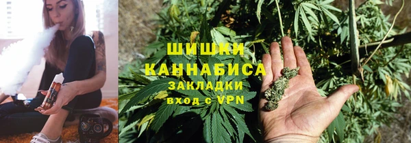 сатива Бронницы
