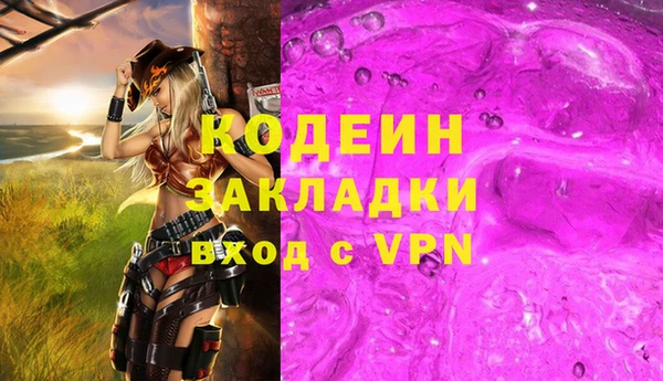 шишки Верхний Тагил