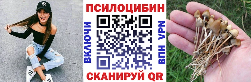 Галлюциногенные грибы Psilocybine cubensis  наркота  Белинский 